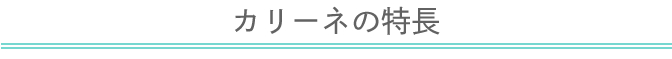 カリーネの特長
