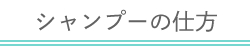Vv[̎d