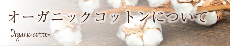 I[KjbNRbgɂ