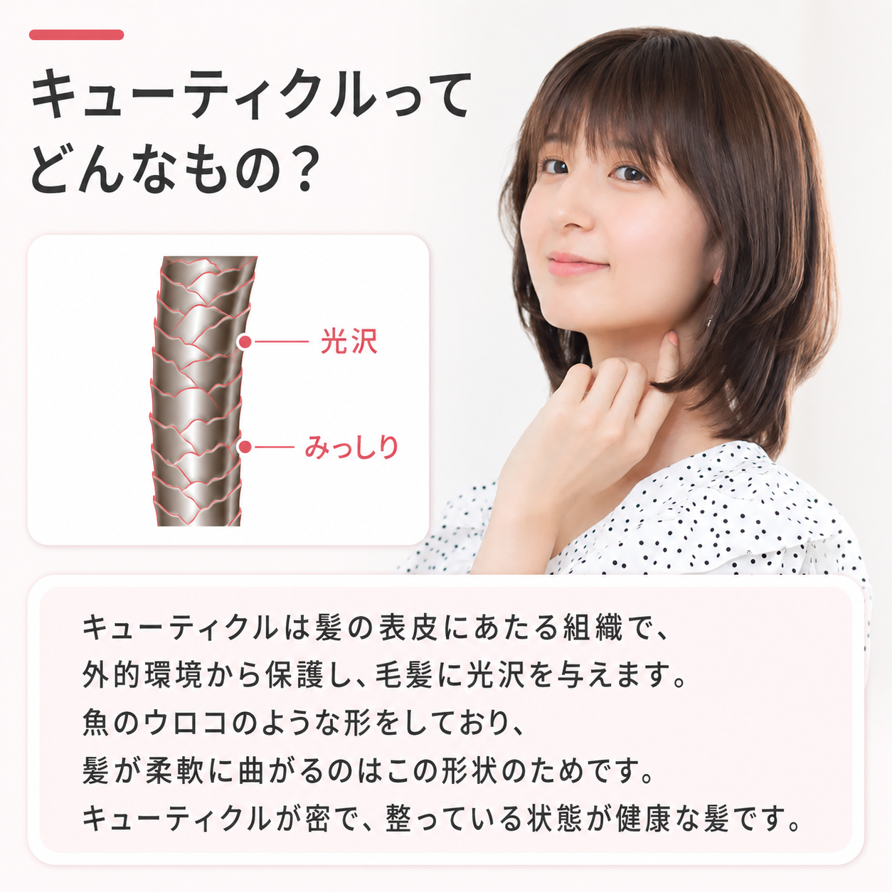 �L���[�e�B�N���͔��̕\��ɓ�����g�D�ŊO�I������ی삵�A�є��Ɍ����^���܂��B